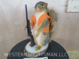 Hunting, Grey Squirrel, with orange vest & rifle, - New Taxidermy, hunting decor -12 inches tall