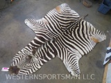 Zebra Hide Rug W/Sewn Cloth Bottom -Nice Color TAXIDERMY