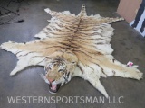 Beautiful Tiger Rug w/Mounted Head was a pet and died of natural *No Claws* *TX RES ONLY* TAXIDERMY