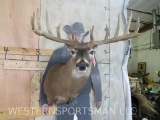 NICE BIG WHITETAIL SH MT W/DOUBLE WIDE SPREAD TAXIDERMY