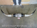 Big Thick Mounted Longhorn Horns 5'11