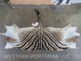 Zebra Backhide 6'9