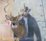 Newer 10 Pt Whitetail Sh Mt W/Thick Tines TAXIDERMY
