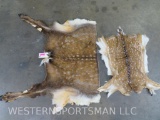 Fallow & Axis Back Hides (2x$) TAXIDERMY