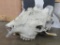 Partial Giraffe Skull TAXIDERMY
