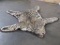 Juvenile Felted Leopard Rug w/Mounted Head *Rough *TX RES ONLY* TAXIDERMY