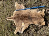 Very Soft, Grey Kangaroo hide, skin fur, 56 inches long, and 46 inches at widest point - no holes. G