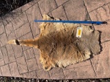 Very nice, Soft tanned Red Kangaroo hide, skin, fur, 62 inches long x 32 inches at widest point - no
