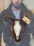 Nice 12 Pt Whitetail Skull on Plaque W/All Teeth TAXIDERMY