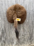 New taxidermy- Buffalo, or Bison butt, mount, WHERE are you going to find one !! 22 inches across x