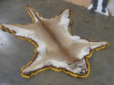 Very Nive Felted Mountain Lion Rug w/Mounted Head TAXIDERMY