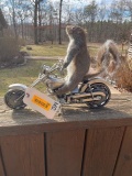 New taxidermy, Squirrel, on a Hog motorcycle ! 16 inches long, 12 inches tall, 5 inches wide = reall