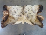 Soft Tanned Elk Back Hide TAXIDERMY