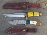 2 Knives w/Leather Sheaths (ONE$)