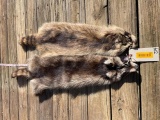 2 nice soft tanned Midwestern Raccoon - Coon hides, skins, furs , 40 & 37 inches long Big Great