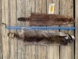 Raccoon and a HUGE mink furs, hides skins, 35 and 28 inches long , new, soft tanned, awesome taxider