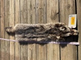 XXlg. Raccoon, or Coon, hide, skin-fur, New, soft tan, a whopping 44 inches long, great Taxidermy ,