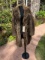 Beautiful Raccoon fur coat, Sleeve is 22 inches, length 33 inches and shoulders is 16 inches, not Ta