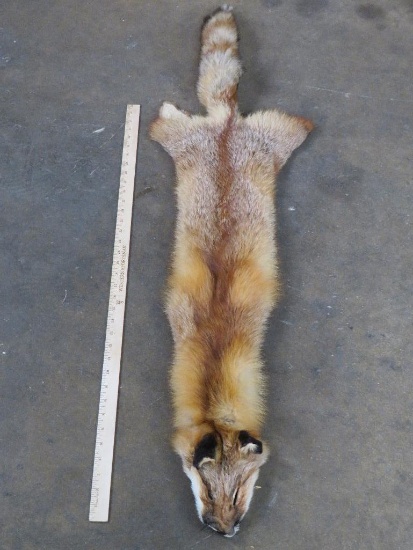 Nice Soft Fox Hide/Pelt 50"long TAXIDERMY