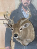 WHITETAIL SH MT W/FUNKY 12 PT RACK -Has some hair loss TAXIDERMY TAXIDERMY