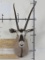 Gemsbok Sh Mt TAXIDERMY