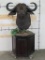 Cape Buffalo Pedestal w/38