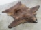 Felted Cinnamon Phase Black Bear Rug w/Mounted Head, all claws TAXIDERMY