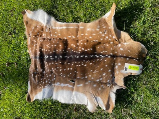 Beautiful, NEW Axis deer hide,, soft tanned, 40 inches long x 32 inches wide, excellent taxidermy ,