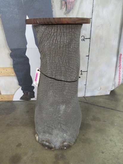 LG Elephant Leg Stool TAXIDERMY