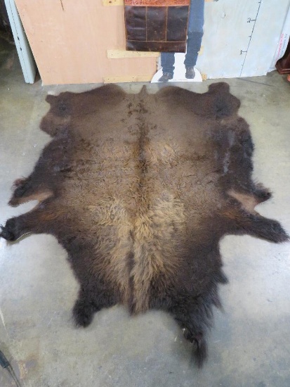 Brand New Very Soft XL Bison/Buffalo Hide TAXIDERMY
