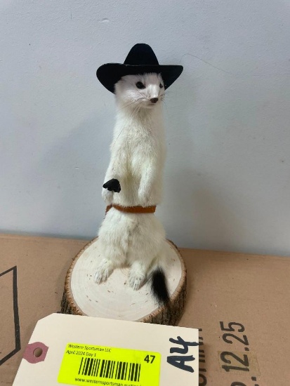 Cute Cowboy Weasel or Ermine - hat, pistol, and holster 8 1/2 inches tall on a wood base that is 7 X