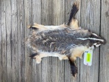 Awesome , heavy furred Badger hide/skin/ complete with all feet & BIG claws, 36 inches long X 27 inc