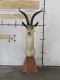 Vintage Grant's Gazelle Pedestal Mt TAXIDERMY