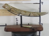Fossilized Adolescent Wooly Mammoth Tusk w/Stand TAXIDERMY