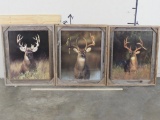 3 Framed Photos of Big Whitetail Bucks in Nice Rustic Frames(ONE$) CABIN DECOR