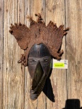 Very old, African Bird man mask, with hemp hair, 11 inch beak, 18 inch overall, 8 inches wide, Art,