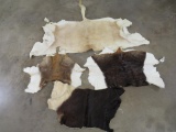 Scimitar Oryx & Blackbuck Hides (ONE$) *TX RES ONLY*