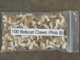 100 Bobcat Claws (ONE$) TAXIDERMY