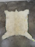 Felted Mountain Goat Rug TAXIDERMY