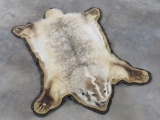Vintage Felted Badger Rug w/Mounted Head TAXIDERMY