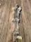 Awesome western pale Coyote fur, Heavy furred, NEW tan, 57 inches long great taxidermy , log cabin d