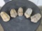 5 Natural Moroccan Trilabite Fossil Specimens from Devonian Era ROCKS/FOSSILS/MINERALS