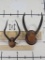 Impala & Waterbuck Horns on Plaques (ONE$) TAXIDERMY