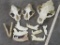 Partial Skull Box Lot, 2 Mountain Lion Upper, 1 Brown Bear Upper & Several Jaw Bones TAXIDERMY