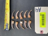 Set of 10 XXLG. North American Badger front claws. 1 1/2 inches long great taxidermy crafts