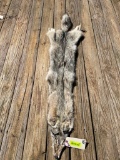 Awesome western pale Coyote fur, Heavy furred, NEW tan, 57 inches long great taxidermy , log cabin d