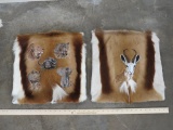 2 Embroidered Big 5 Springbok Hide Pillow Cases (ONE$) TAXIDERMY
