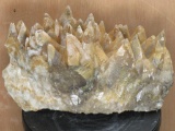 XL Beautiful Smoky Quartz & Honey Calcite (aka dog teeth) Crystal Cluster Specimen (from Morocco)