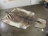 Felted Zebra Hide w/Canvas Backing TAXIDERMY