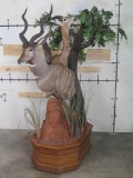 Really Cool Kudu & Gerenuk Pedestal Mt TAXIDERMY